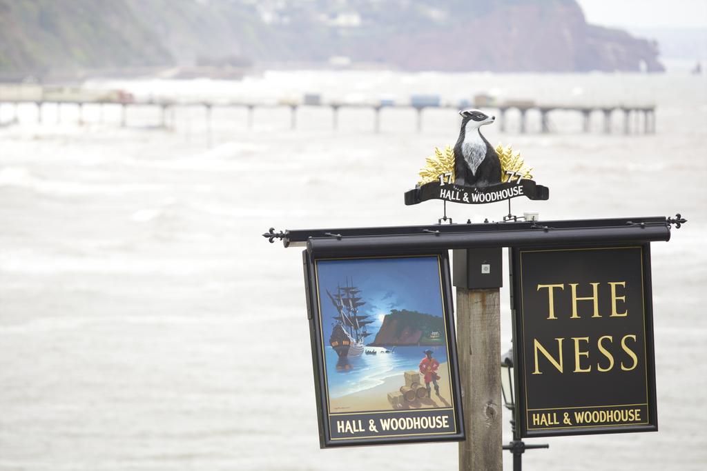 The Ness Bed & Breakfast Teignmouth Exterior foto